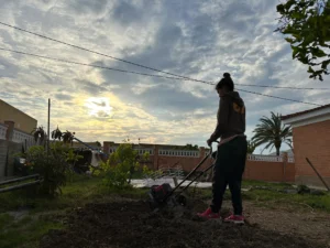 Noelia labrando la parcela